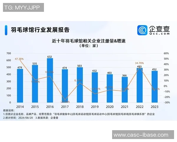 杭州羽毛球队意识表现的数据分析与提升策略探讨