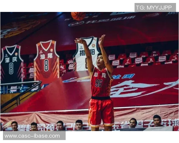 广东与浙江激战回顾全场精彩瞬间分析与战术解读