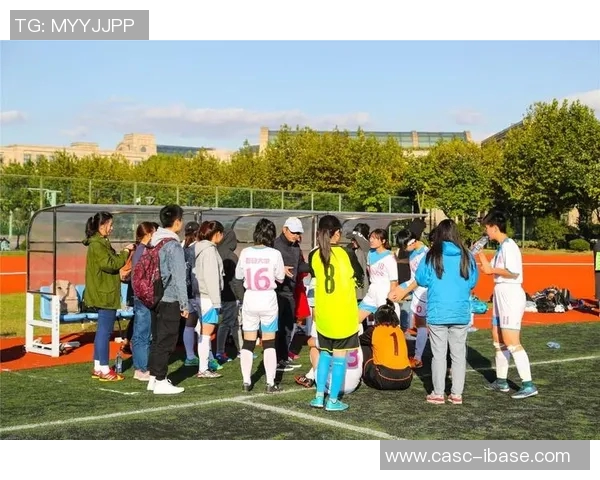 巴里与布雷西亚的激战分析及双方战术对比探讨