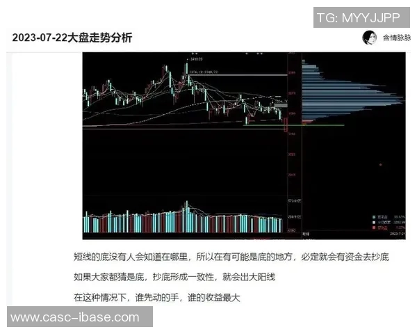 篮球加拿大对阵台北精彩赛事比分回顾与分析