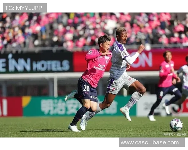 鸟栖沙岩vs喜悦