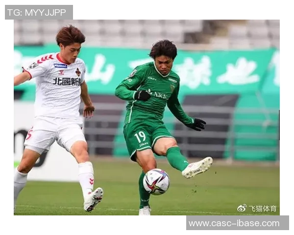 千叶队与新泻队对决前瞻分析及赛季表现预测 千叶队与新泻队对决前瞻分析及赛季表现预测