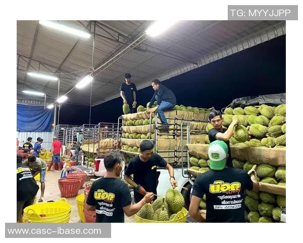 越南与泰国比赛直播观看渠道及相关信息汇总