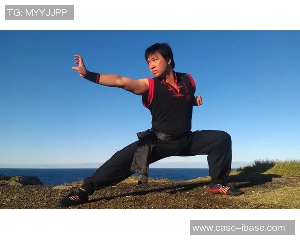 雷公太极与散打对决视频解析探索传统与现代武术的碰撞与融合