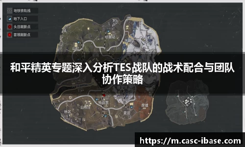 和平精英专题深入分析TES战队的战术配合与团队协作策略